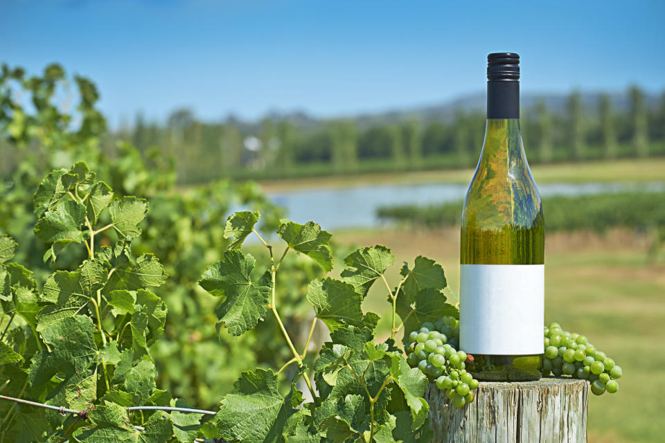 wine bottle in vineyard