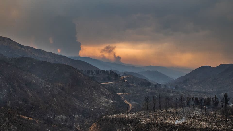 The Line Fire burns in the foothills of the San Bernardino Mountains, forcing evacuations for neighborhoods. The fire started on Thursday afternoon. - Apu Gomes/Getty Images