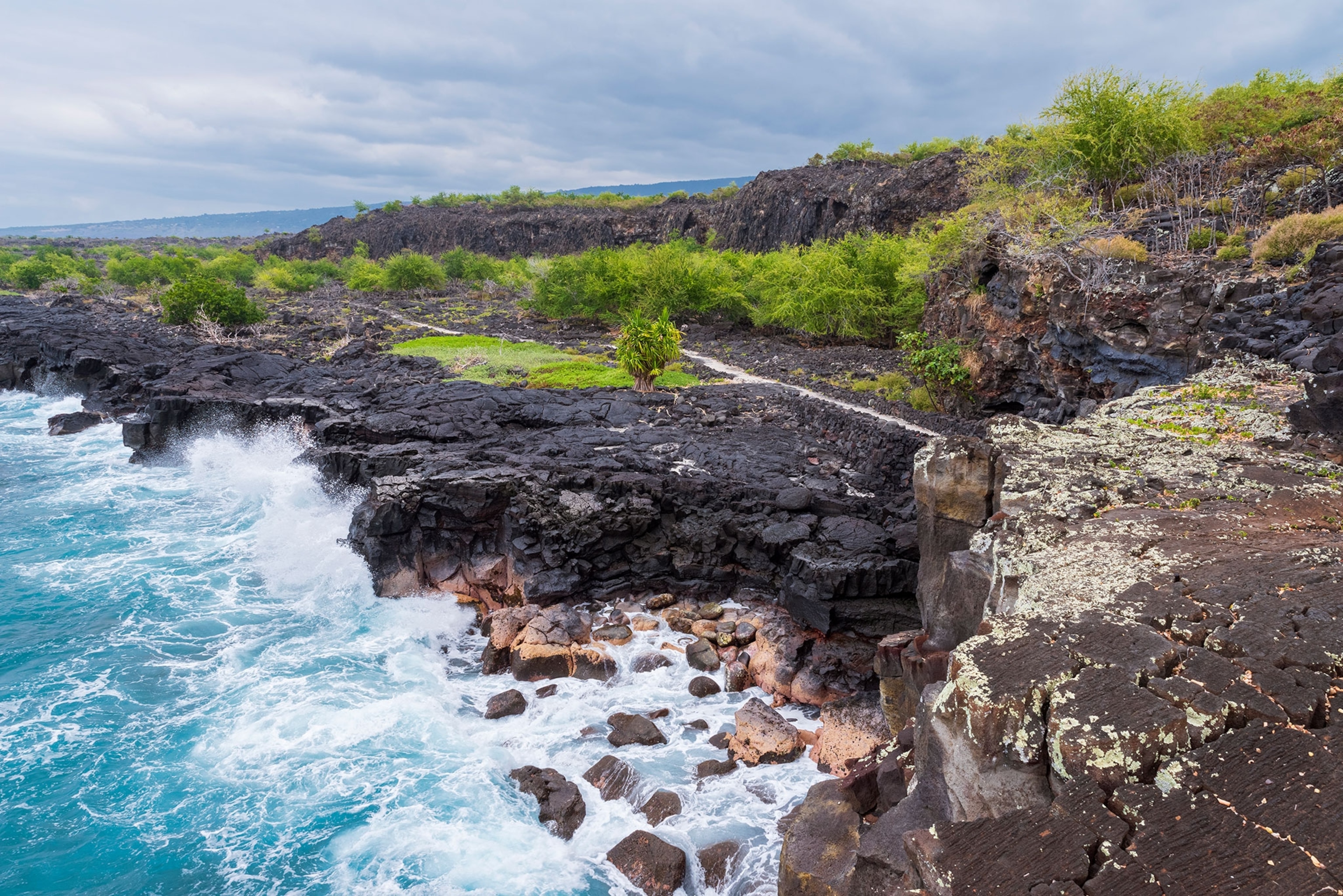 View of rocky coast from above, blue water to the left of rocks and green trees.