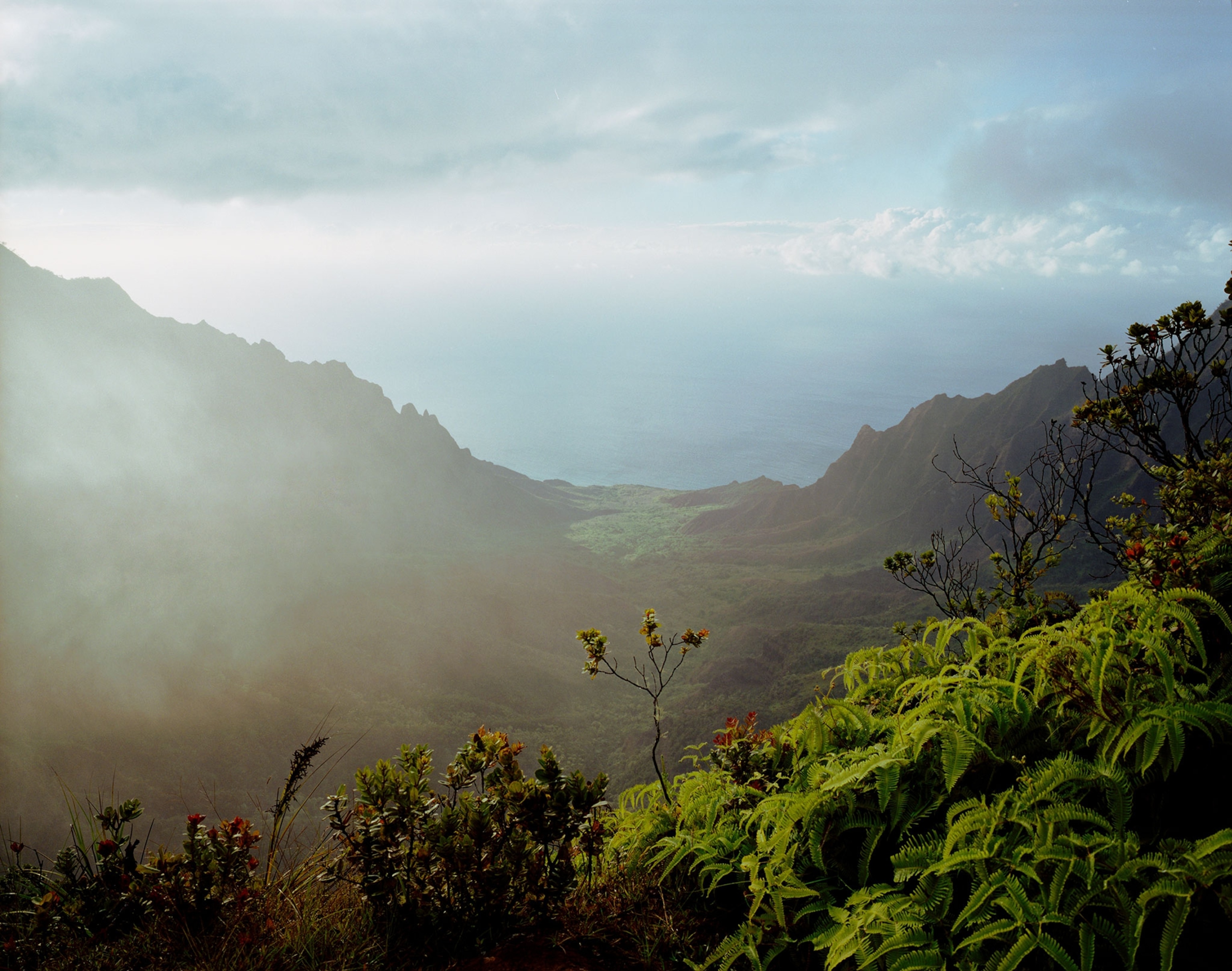 Foggy lookout to green covered mountains with the ocean in the distance. In the foreground of the image are green and red foliage.