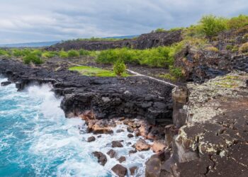 View of rocky coast from above, blue water to the left of rocks and green trees.