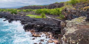 View of rocky coast from above, blue water to the left of rocks and green trees.