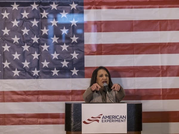 A person speaks during a rally