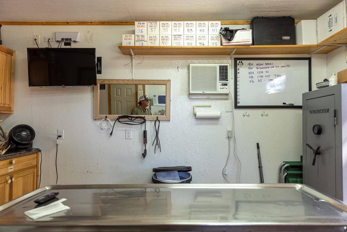 A veterinary room at John True's breeding facility in Terrell, Texas on Sept. 9, 2024.