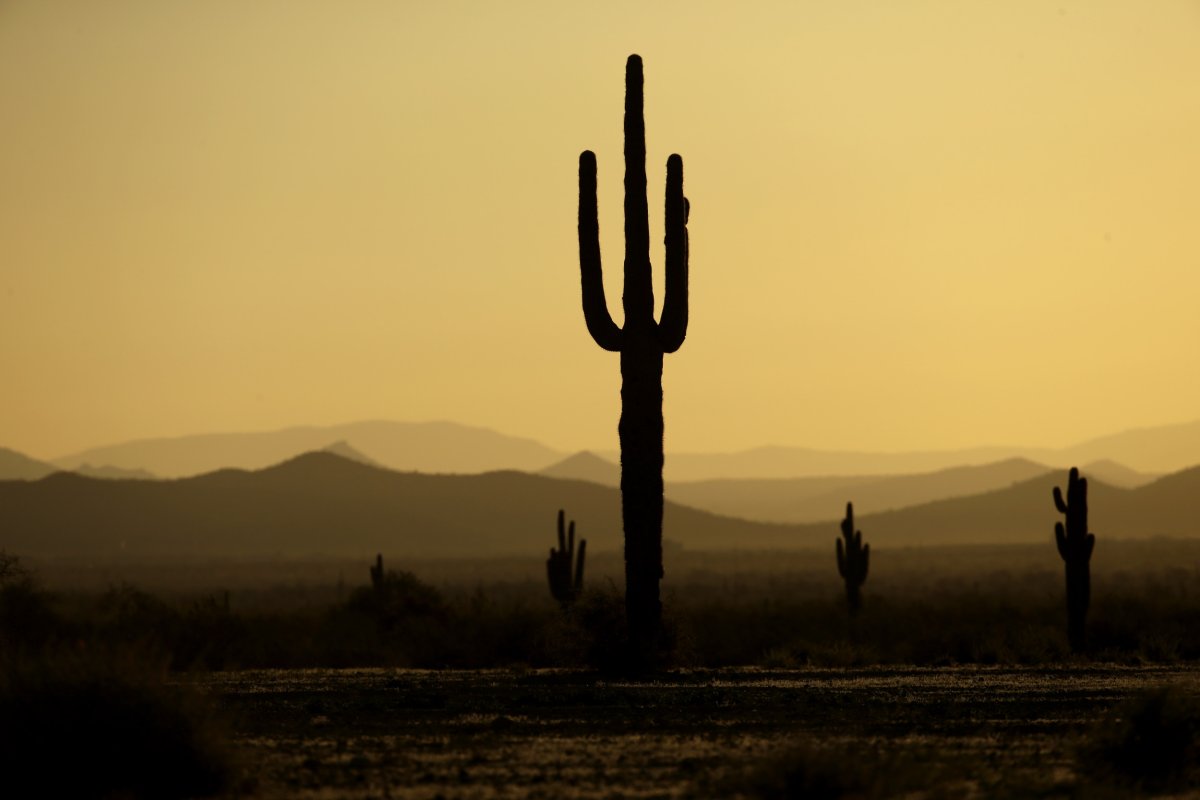 Arizona desert lithium drill ban