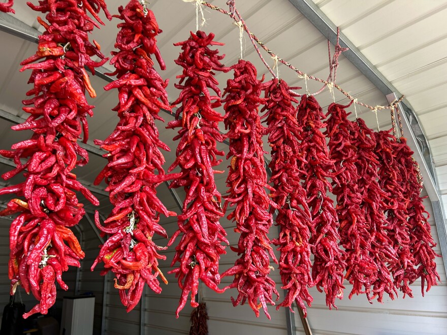  Ristras of freshly harvested Chimayo red chile are hanging to dry in Fidel Martinez's shed.