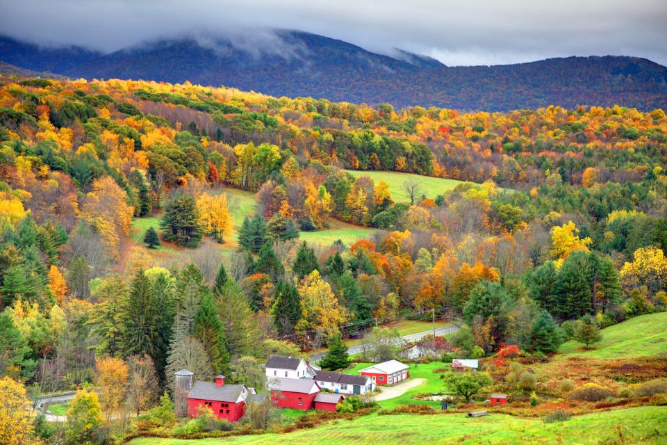 Autumn foliage in the Bershire Hills region of Massachusetts. Photo taken from a scenic viewpoint of the Mount Greylock Range during the peak fall foliage season. The Berkshires region enjoys a vibrant tourism industry based on music, arts, and recreation.