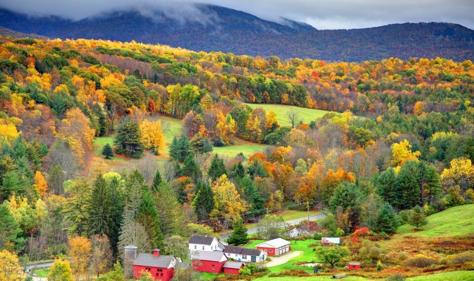 Autumn foliage in the Bershire Hills region of Massachusetts. Photo taken from a scenic viewpoint of the Mount Greylock Range during the peak fall foliage season. The Berkshires region enjoys a vibrant tourism industry based on music, arts, and recreation.