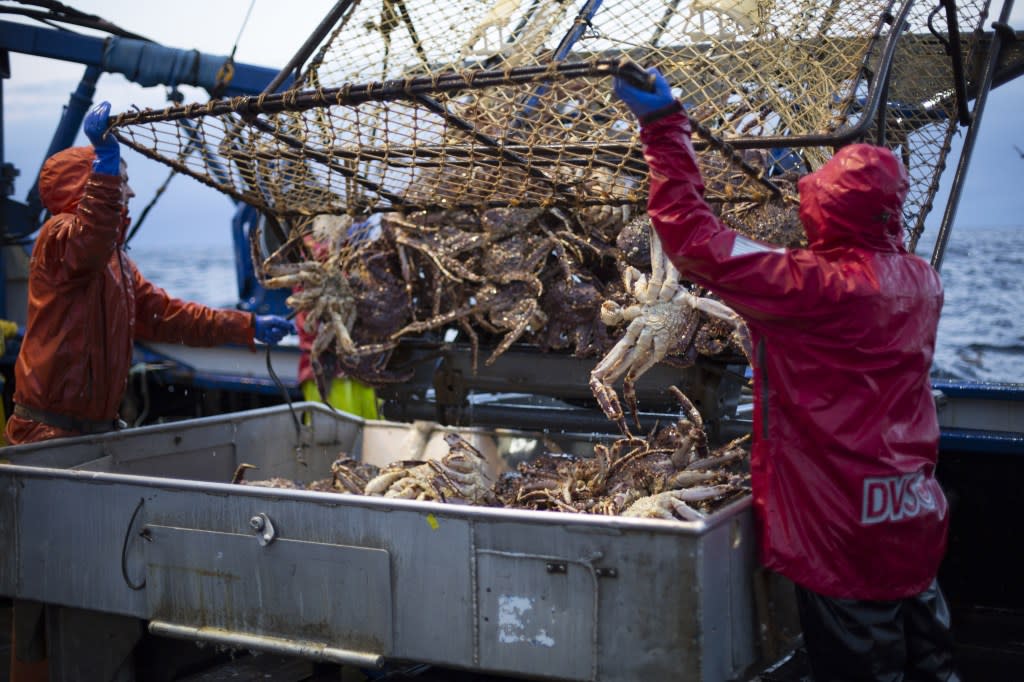 The crabbers say they are ready to “move on” from freshman Democratic Rep. Mary Peltola and back Begich, praising his “common-sense conservative” outlook. Discovery Channel/Courtesy Everett Collection