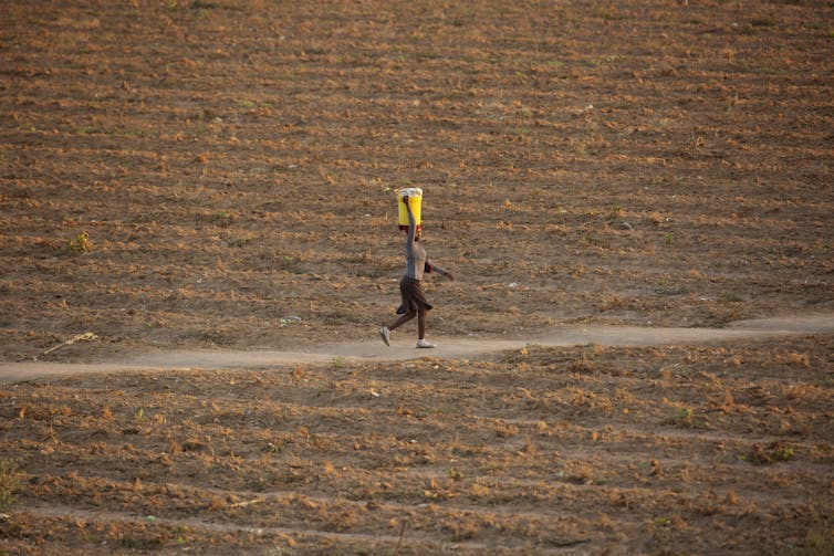 man walks through dry fields