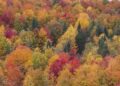 3 New England destinations named among 10 best places in America to view fall foliage