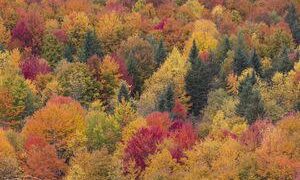 3 New England destinations named among 10 best places in America to view fall foliage