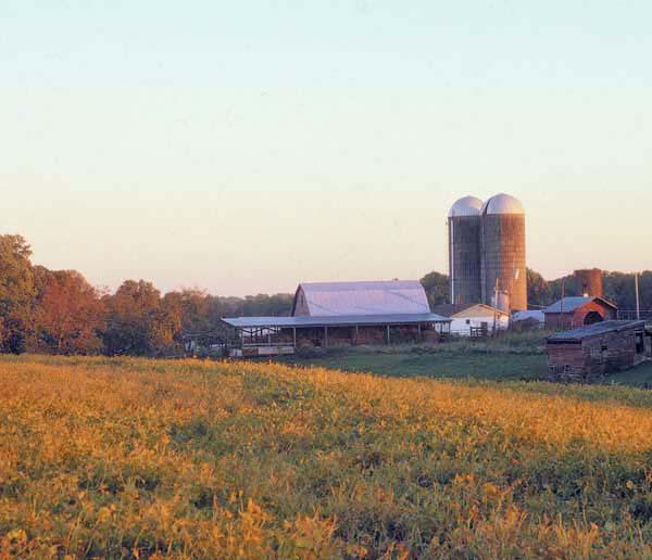 NC farm has one of the best corn mazes across the country, USA Today says – Charlotte Observer