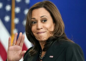 Opinion: Harris’ economic speech lacked anger and racism. What’s wrong with her? – USA TODAY