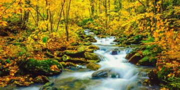 underhill state park in vermont browns creek with autumn colors