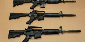 AR-15 the gun used. Why are they popular?