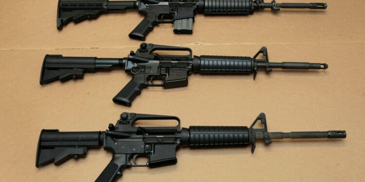 AR-15 the gun used. Why are they popular?