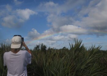 Behind the failed plan to put golf courses in Florida state park