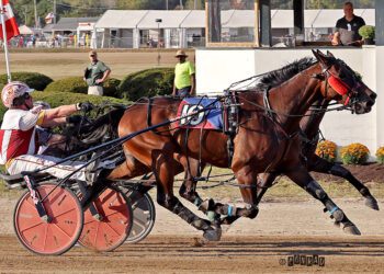 Buckeye Stallion Series kicks off at Delaware