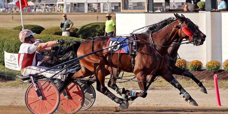 Buckeye Stallion Series kicks off at Delaware