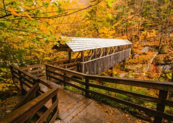 Autumn Color Forest Trail Covered Wooden Bridge for Pedestrians Flume Gorge Franconia Notch State Park. Beautiful Scenic Nature Path Sentinel Pine