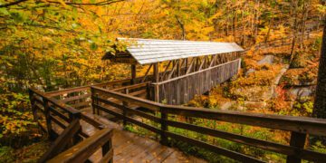 Autumn Color Forest Trail Covered Wooden Bridge for Pedestrians Flume Gorge Franconia Notch State Park. Beautiful Scenic Nature Path Sentinel Pine