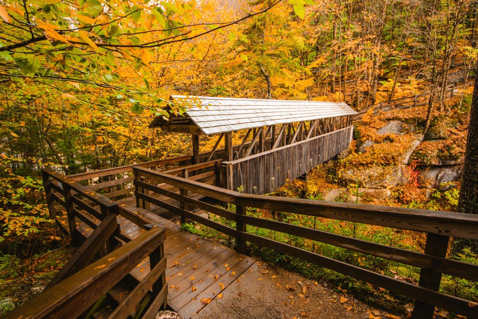 Autumn Color Forest Trail Covered Wooden Bridge for Pedestrians Flume Gorge Franconia Notch State Park. Beautiful Scenic Nature Path Sentinel Pine