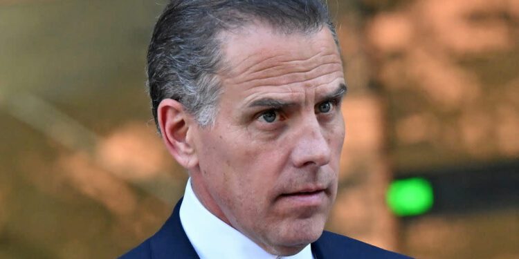 Documentary Shows Hunter Biden in Emotional Meeting With One-Time Enemy