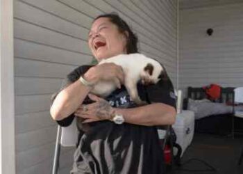 Diane Cruz cuddles a cat in her backyard in Springfield