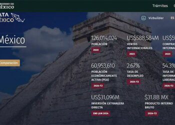 A screenshot from the government data tool DataMéxico, showing data related to investment trends in Mexico