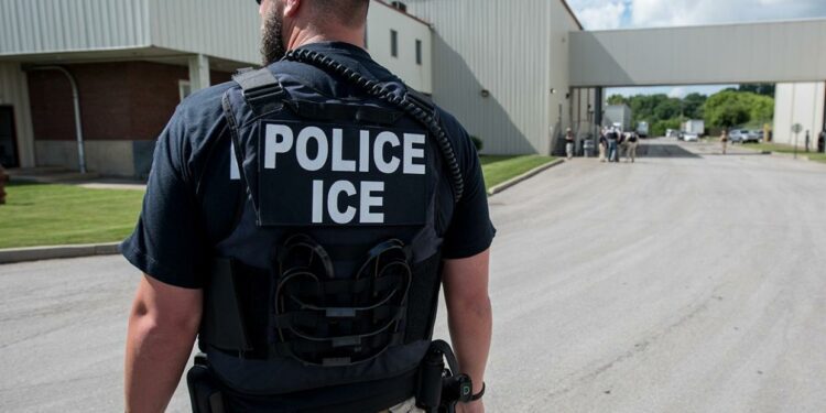 ICE agent seen from behind in front of building