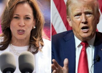 Harris holds major lead over Trump in Harvard poll of young voters