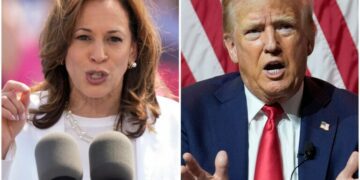 Harris holds major lead over Trump in Harvard poll of young voters