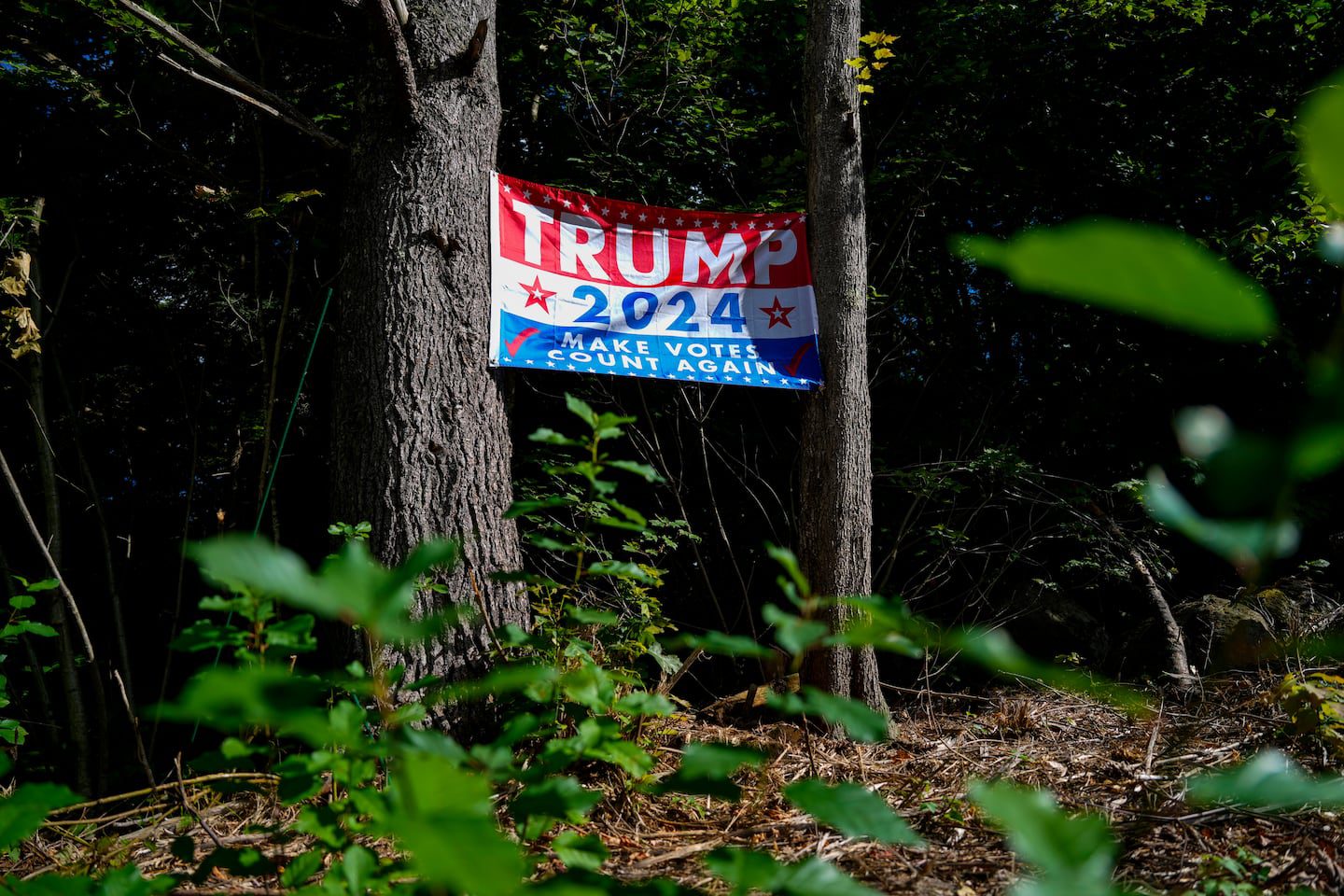 A Trump banner hung between two trees on Route 202 in Peterborough, N.H. 

