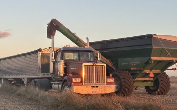 Harvest begins in South Dakota