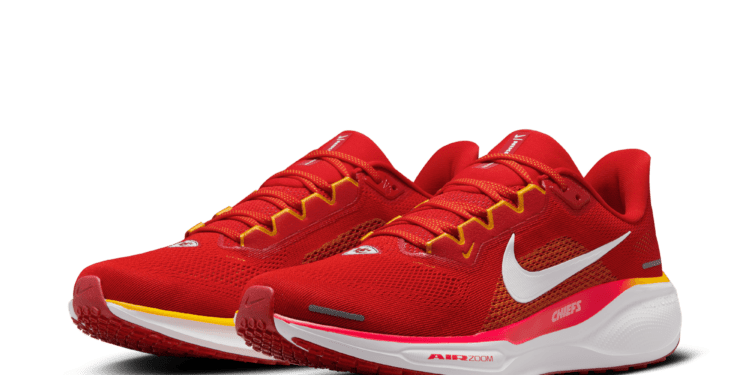 2024 Nike Air Zoom Pegasus 41 shoe