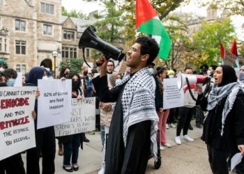 Protestors decked with signs, megaphones, Palestinian flags and keffiyehs demonstrate at the University of Michigan.