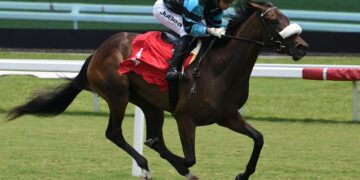 Juvenile Filly Bellavinino Cataloged To Inglis Digital USA September Sale