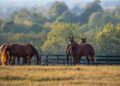 Kentucky’s famous horses, bourbon and BBQ are three big draws – but the list doesn’t stop there