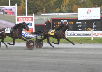 Massachusetts Breeders Stake kicks off Monday