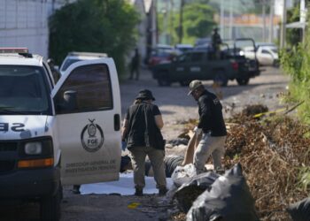 Forensic investigators remove a body in Mexico