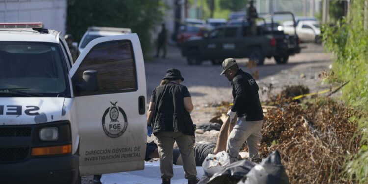 Forensic investigators remove a body in Mexico