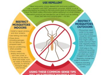 Mosquito-borne illness cases rise in Rhode Island