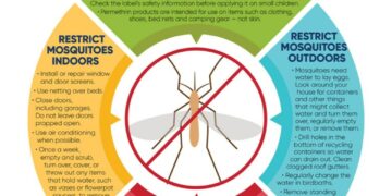 Mosquito-borne illness cases rise in Rhode Island