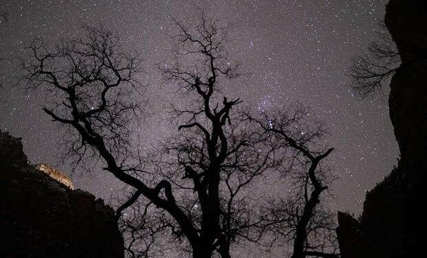 Nat Geo's 'National Parks: USA' Is a Must-Watch for Veterans with Free National Parks Access