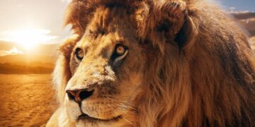 New Jersey's Wildlife Habitat That Closed Down After Visitor Mauled by Lion