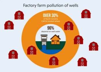 A multi-colored graphic stating that more than 30 percent of North Carolina's concentrated feeding operations are located where 96 percent depend on well water.