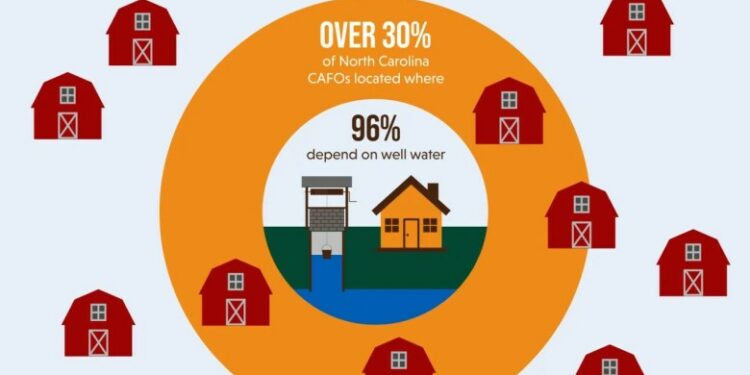 A multi-colored graphic stating that more than 30 percent of North Carolina's concentrated feeding operations are located where 96 percent depend on well water.