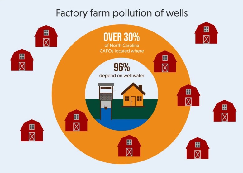 A multi-colored graphic stating that more than 30 percent of North Carolina's concentrated feeding operations are located where 96 percent depend on well water.