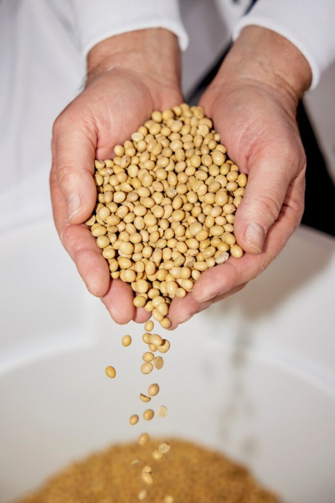 Note to Maine farmers: More soybeans, please